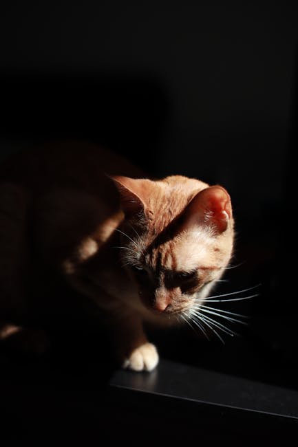 Imagem ilustrativa: Wi‑Fi para casa inteligente: 10 ajustes que melhoram estabilidade (2.4 GHz, canais e roteador)